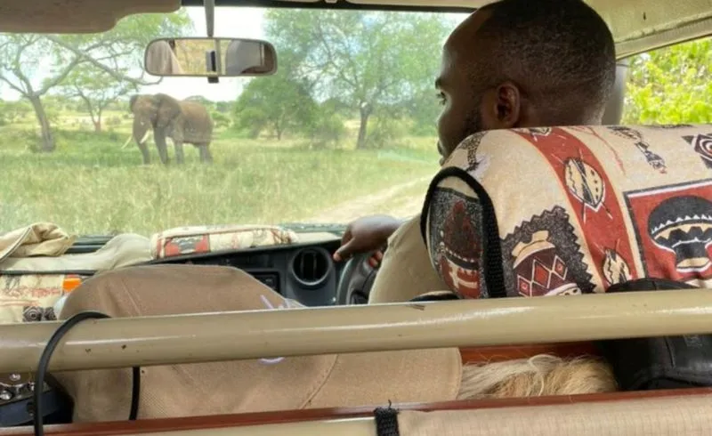 7 Days Best of Tanzania Luxury Safari | Seko Tours Adventures