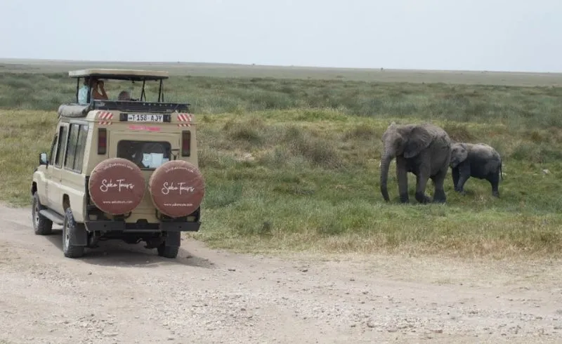 8 Days Ultimate Northern Tanzania Safari | Seko Tours Adventures